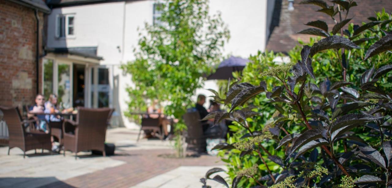 Greyhound Inn Wilton Wilton  Exteriör bild
